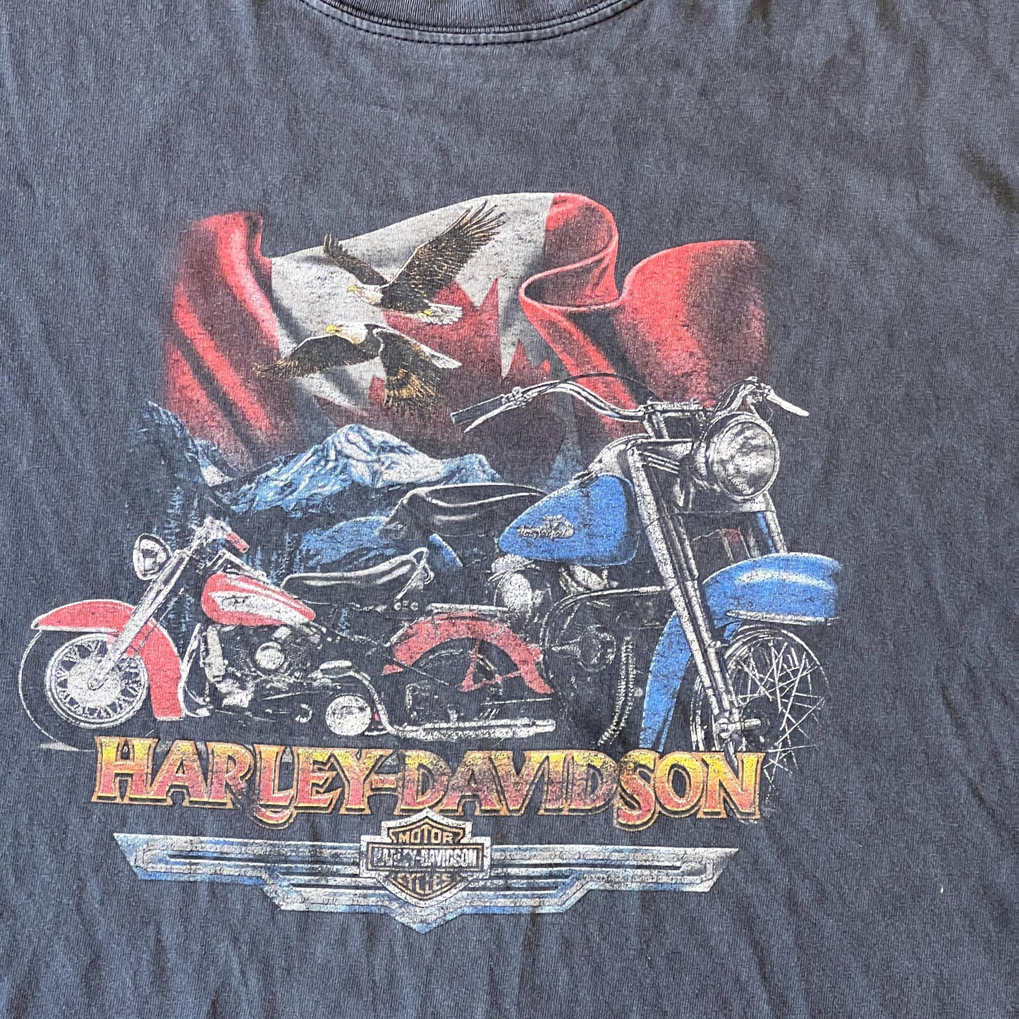 Rare Vintage Harley Davidson Yukon Shirt | Black Faded XL Tee